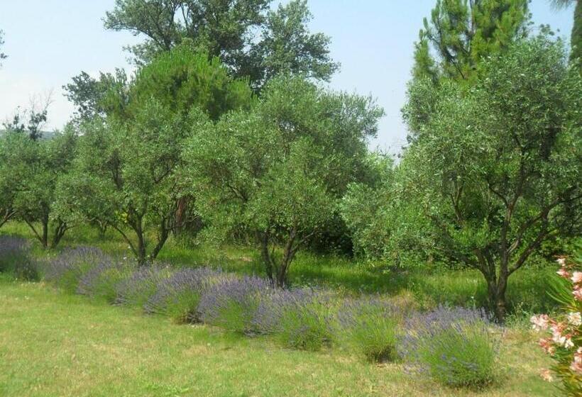 ベッドアンドブレックファースト L'oulibo