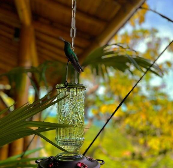 La Veranda Hotel & Restaurant