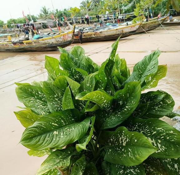 ユースホステル Scorpion Hill Lodge