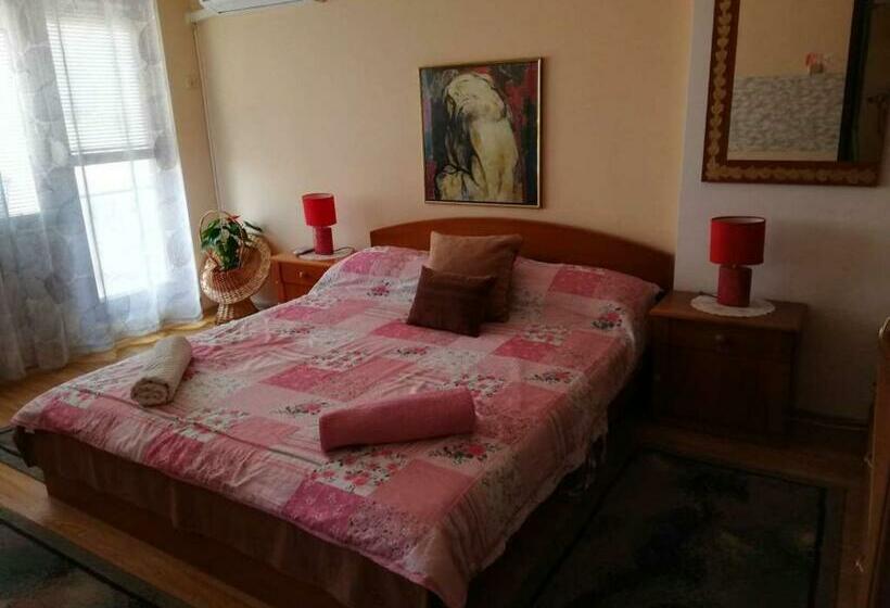 پانسیون Guest House Plavas
