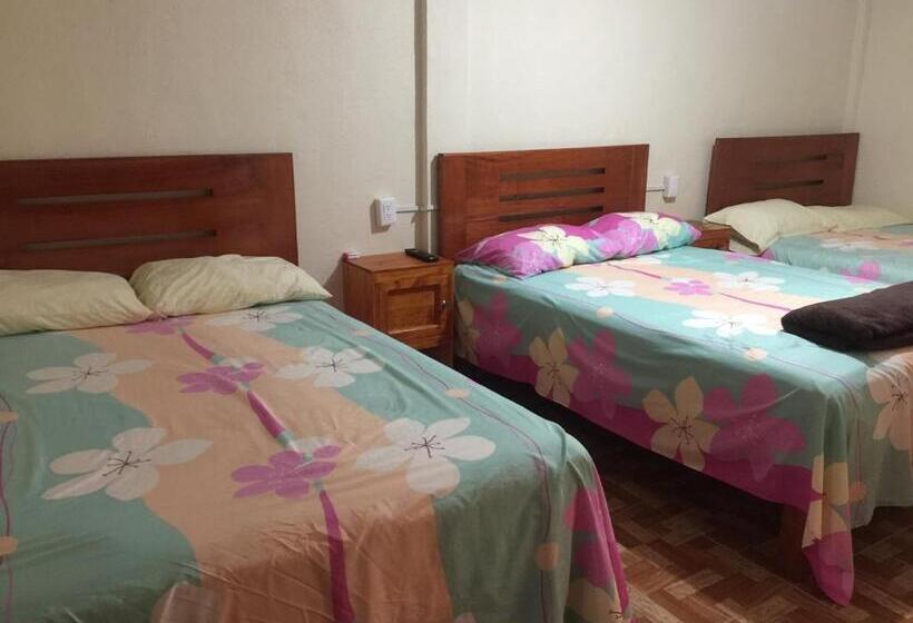 هاستل Casa Jhada Xilitla