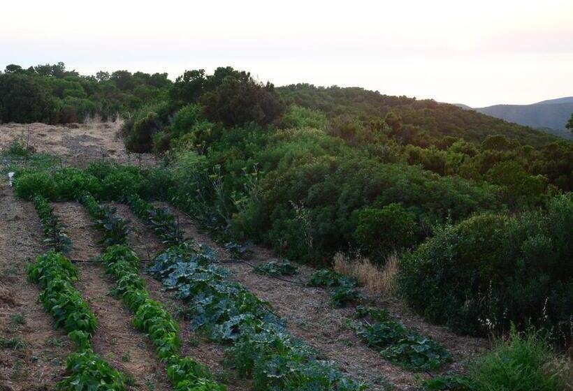Отель Agriturismo Costa Verde