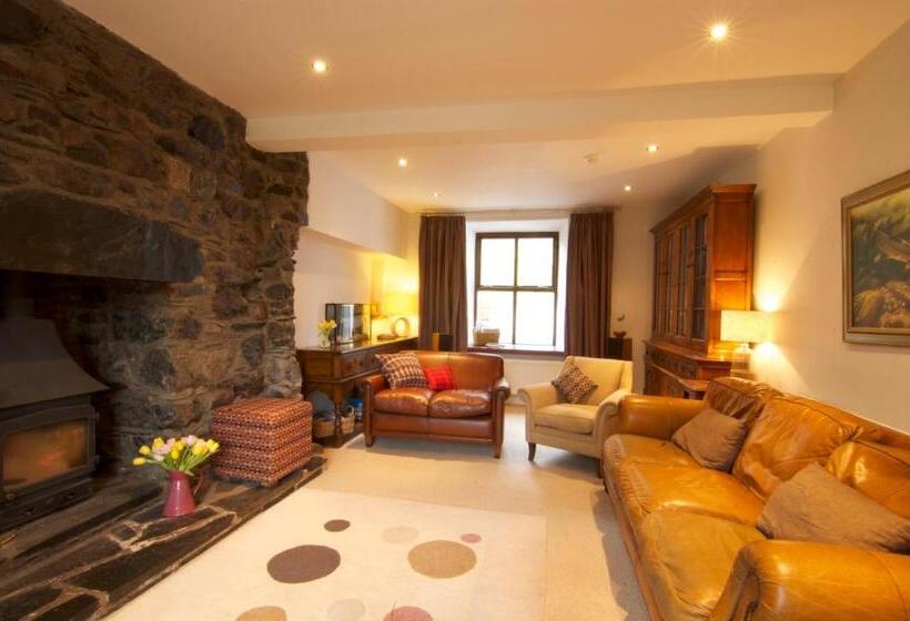 Пансион Dolffanog Fawr