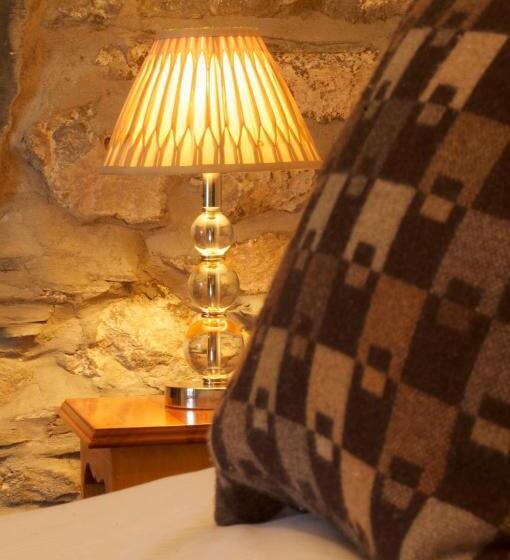 펜션 Dolffanog Fawr