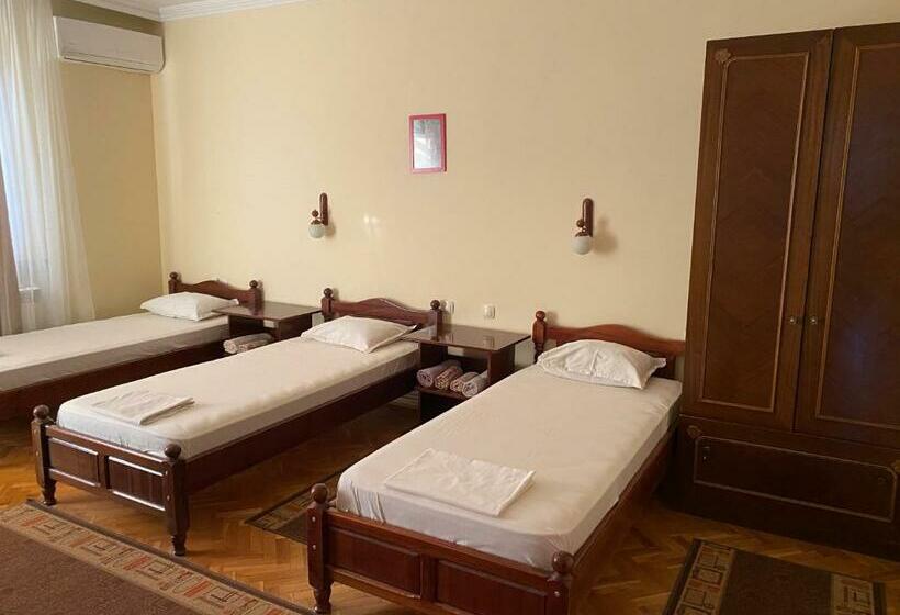 ペンション Family Hotel May