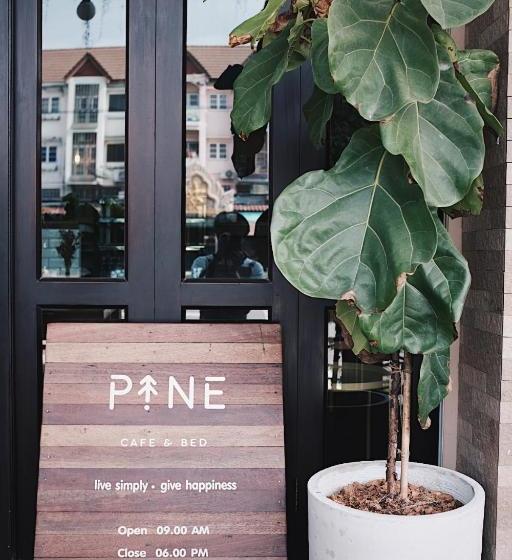 بنسيون Pine Cafe &bed