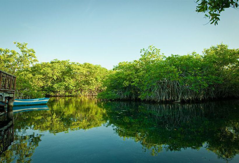 فندق Bel Air Collection Resort & Spa Riviera Maya