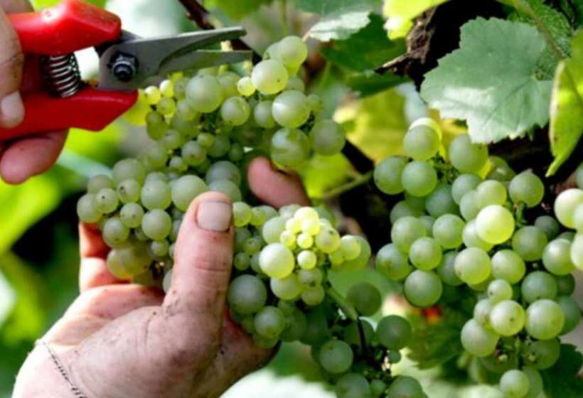 בית מלון כפרי Premiere Classe Reims Est  Taissy