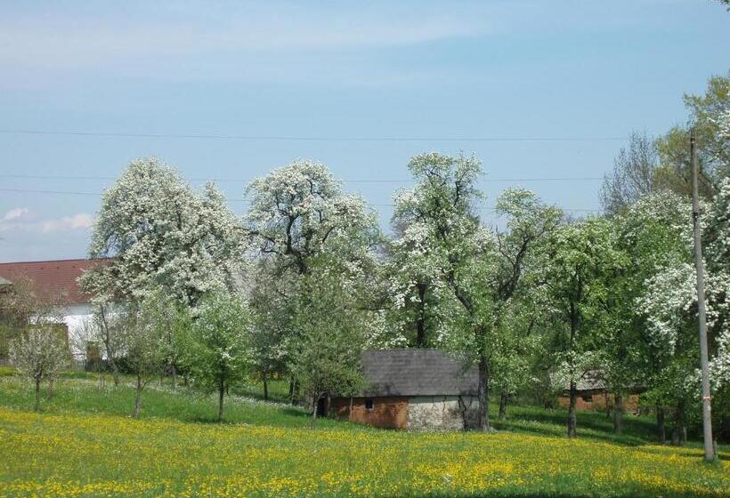 הוסטל Gasthof Zur Linde