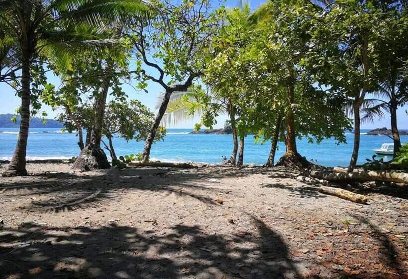 تختخواب و صبحانه Casa El Tortugo