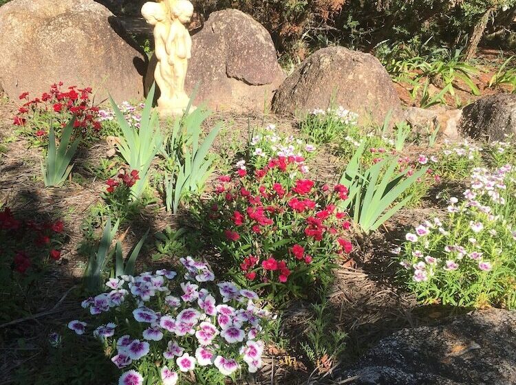Glen Aplin Gardens B&b