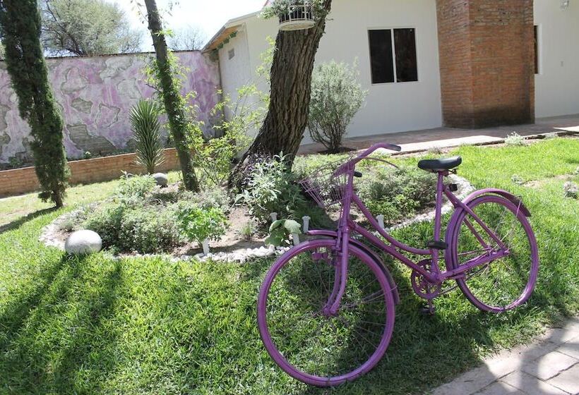 فندق Lila