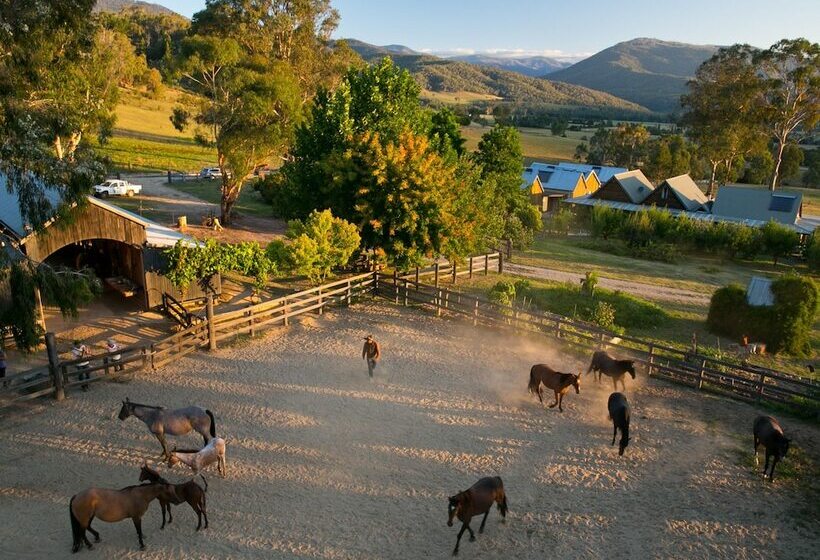 膳宿费 Spring Spur Stay