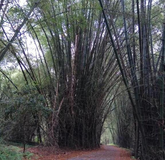 膳宿费 Xingping Our Inn