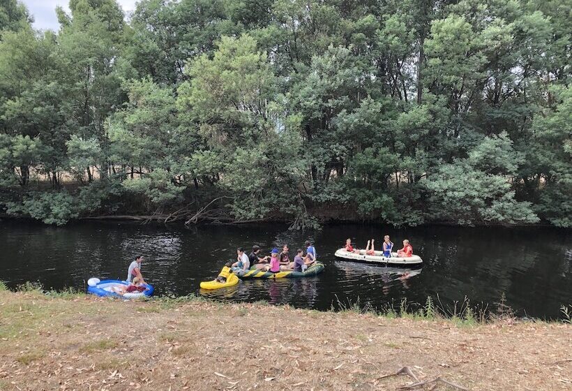 渡假胜地  Big4 Taggerty Holiday Park