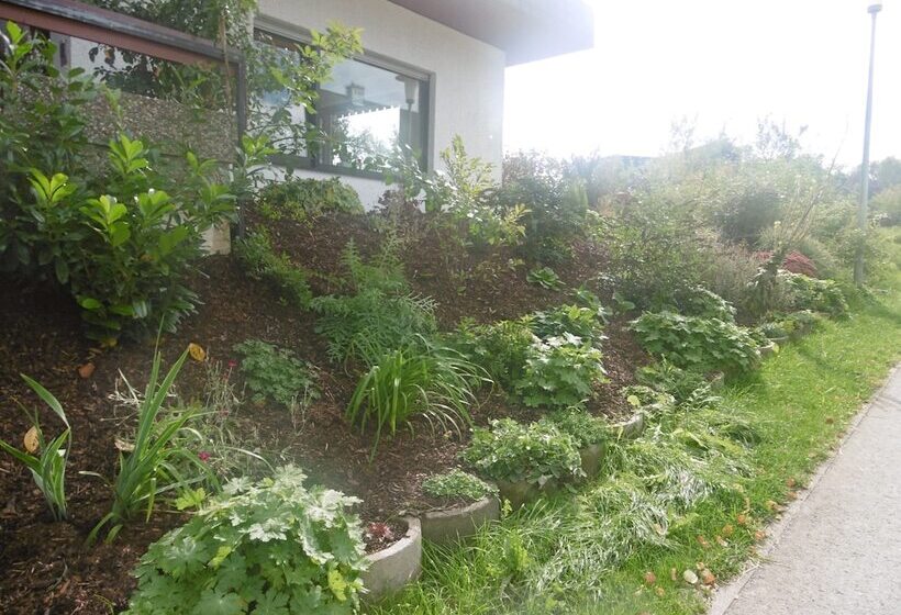 ペンション Haus Hochwaldhöhe