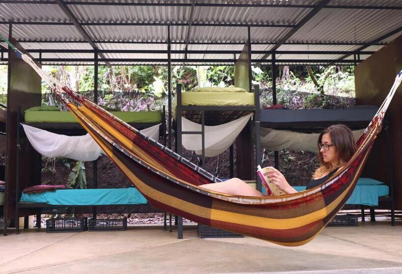 فندق صغير Bolita Trails And Lodging