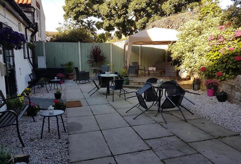 فندق صغير Jolly Sailor