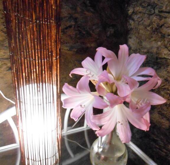 旅馆 Watermill Moinho Garcia