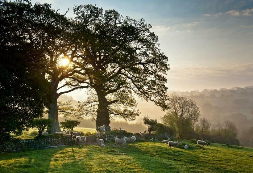 مبيت وإفطار Beera Farmhouse