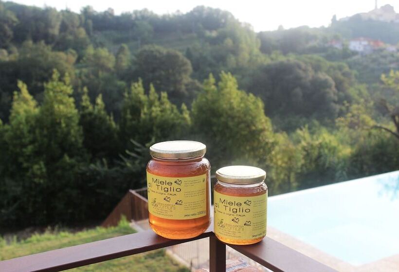 호텔 Agriturismo Due Comuni