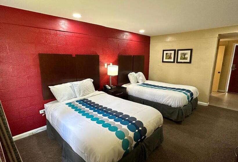 מוטל Royal Inn   North Augusta   Home Of The Masters   Augusta Downtown
