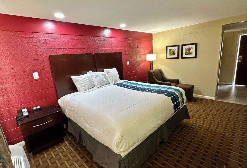 מוטל Royal Inn   North Augusta   Home Of The Masters   Augusta Downtown