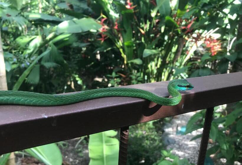 بنسيون Yejos Jungle Lodge