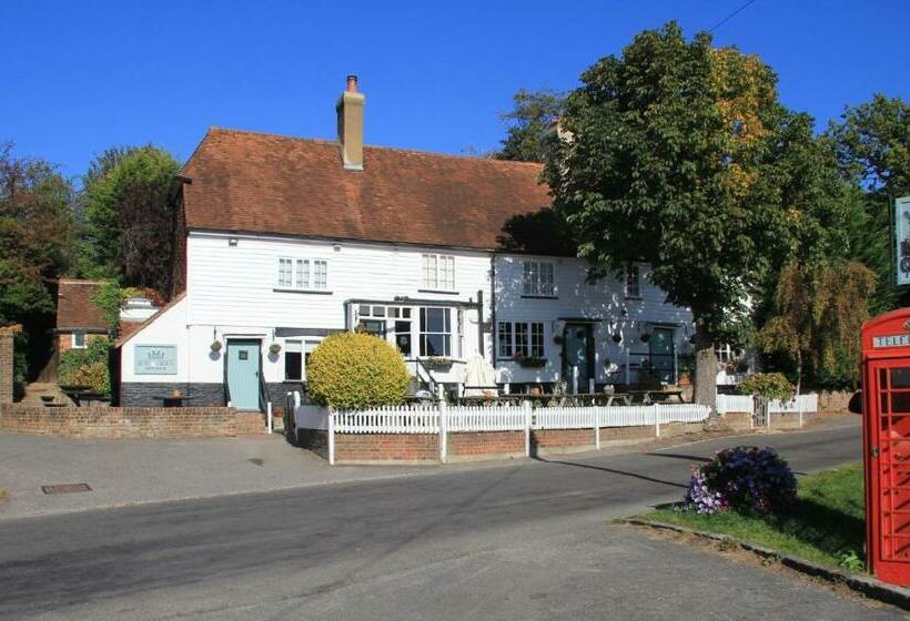 Общежитие Rose And Crown