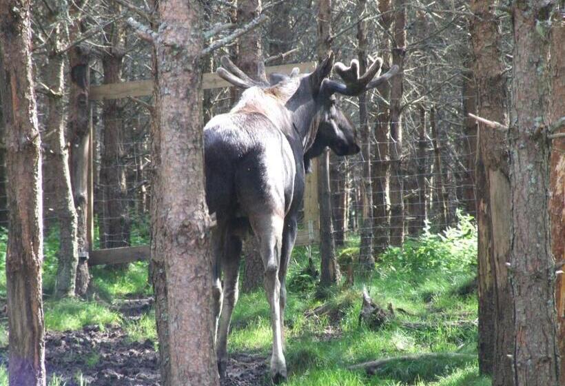 צימר Skålleruds Gård