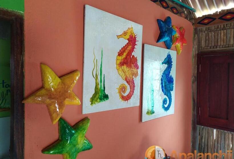 هتل Apalanchii Hospedaje Y Restaurante