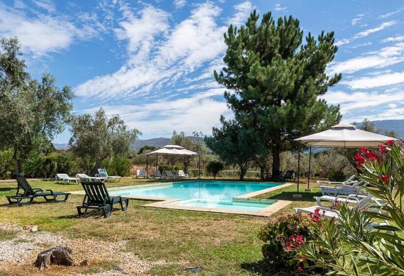 ホテル Quinta Do Chão Da Vinha