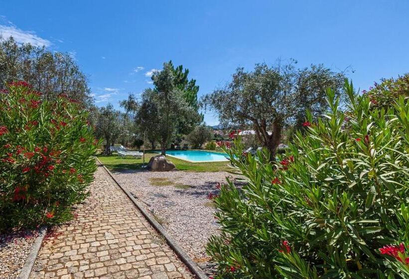 ホテル Quinta Do Chão Da Vinha