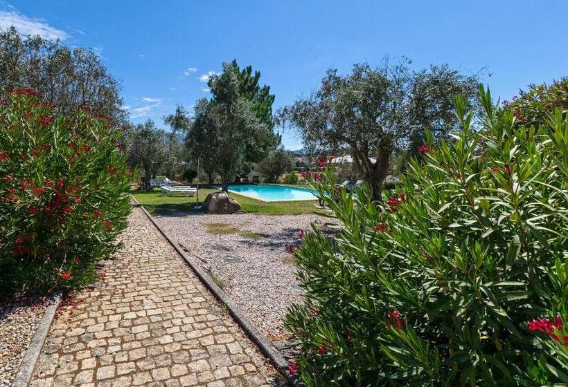 ホテル Quinta Do Chão Da Vinha