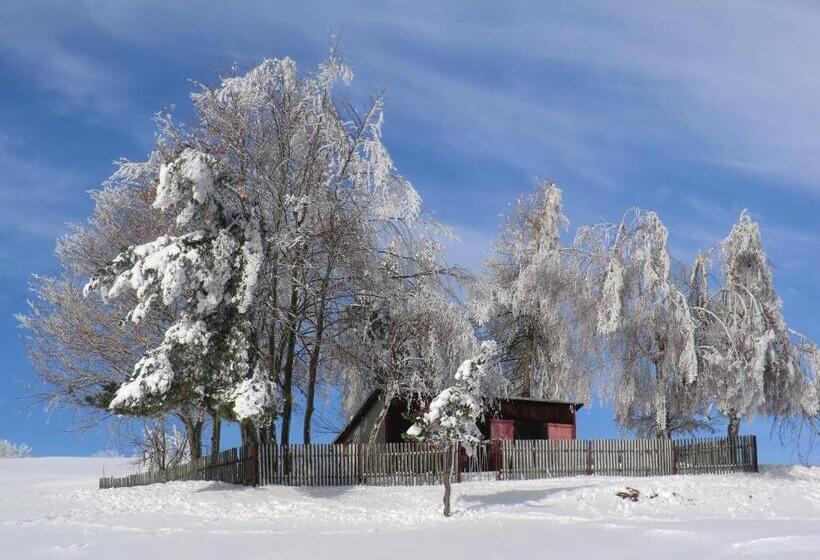 호텔 Zum Schneekopf Garni