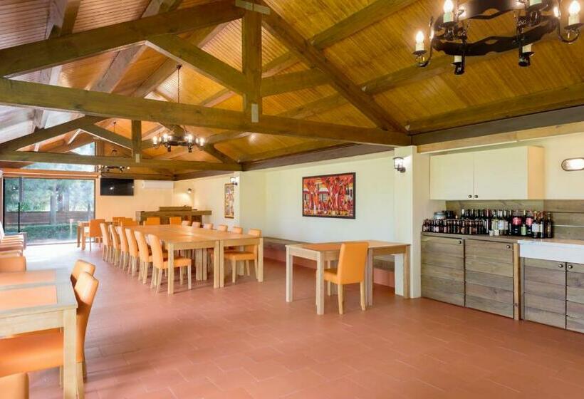 بنسيون Quinta Da Mimosa