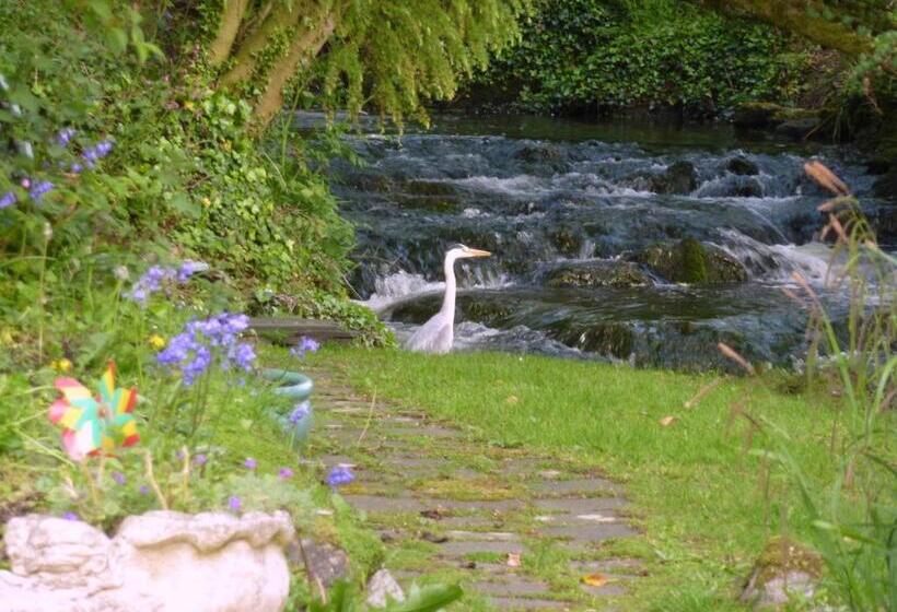 Yr Hen Felin   The Old Mill B&b