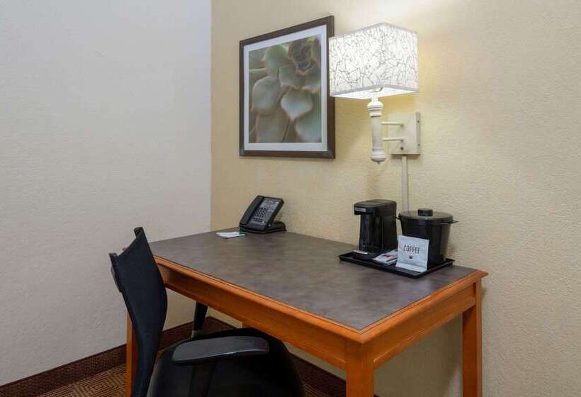 בית מלון כפרי La Quinta East Deerfield Beach   Boca Raton