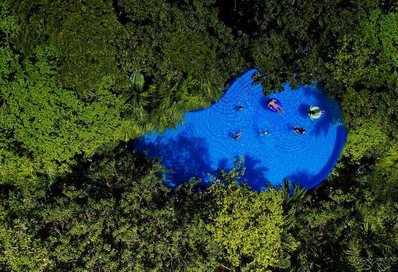 فندق Occidental At Xcaret Destination   All Inclusive