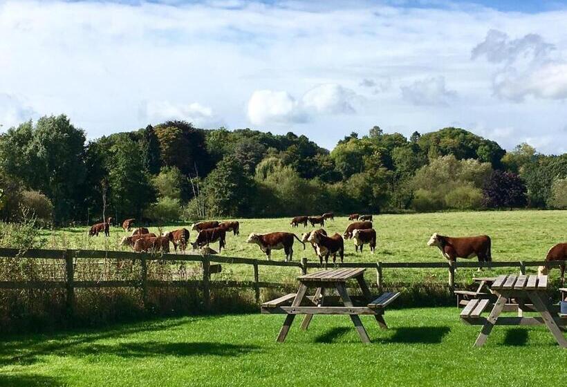 旅馆 The Talbot At Knightwick