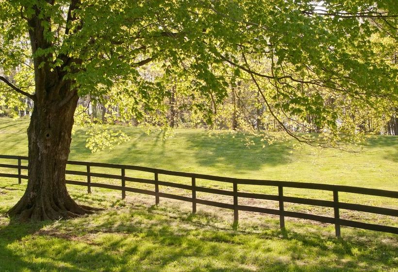 住宿加早餐  Glen Gordon Manor