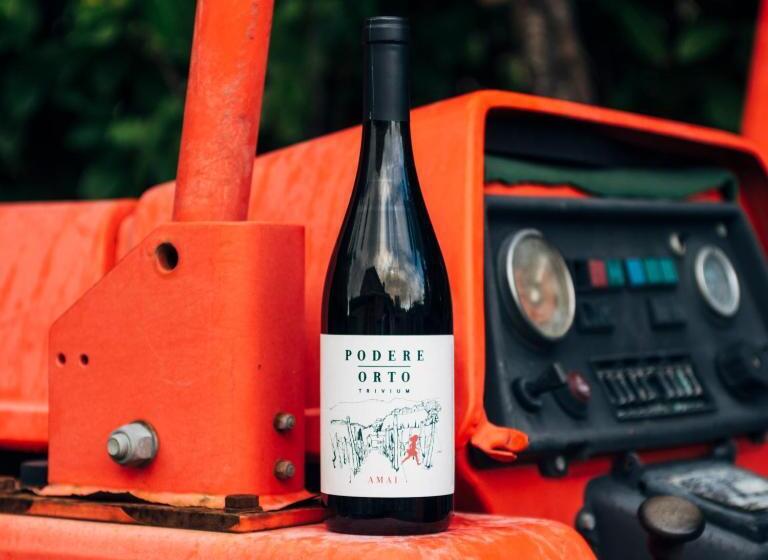 ベッドアンドブレックファースト Podere Orto Wine Country House