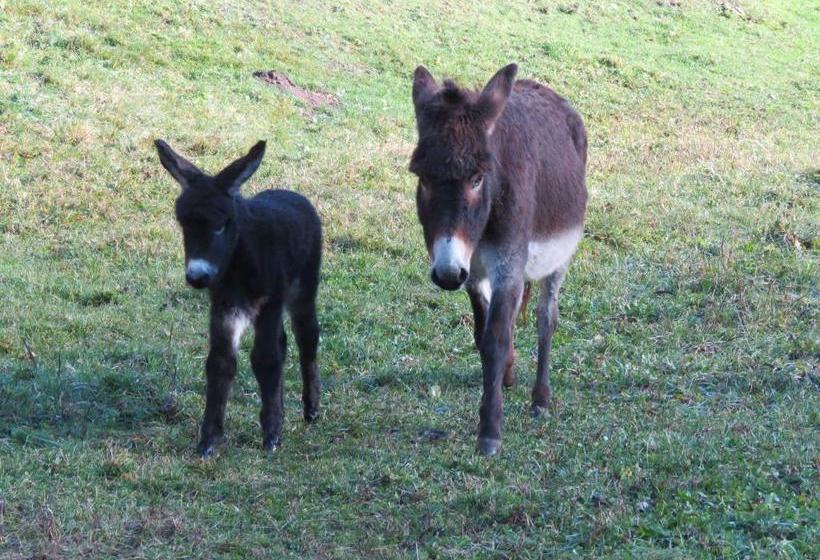 فندق Agriturismo Al Marter