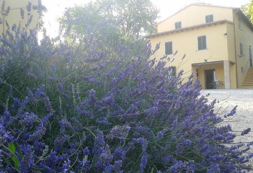 호텔 Agriturismo Il Truffarello Todi