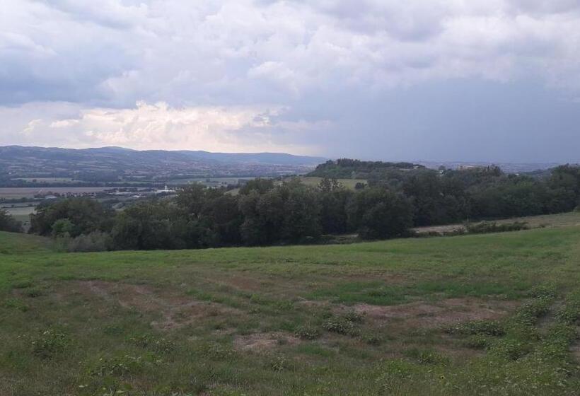 호텔 Agriturismo Il Truffarello Todi