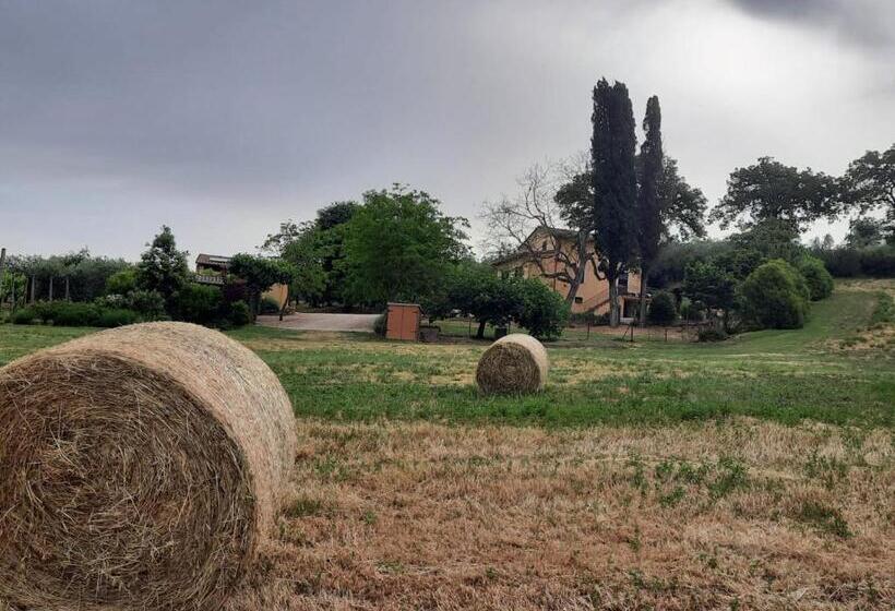 호텔 Agriturismo Il Truffarello Todi