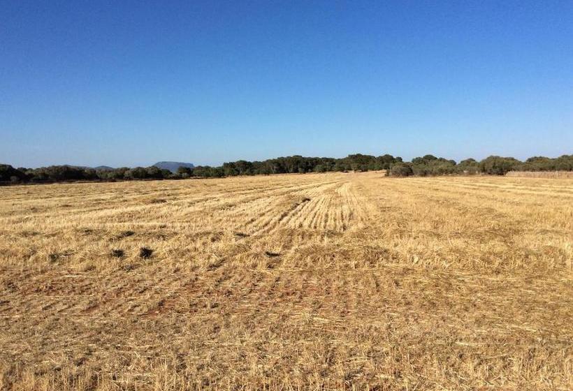 בית מלון כפרי Sa Bassa Crua Agroturismo