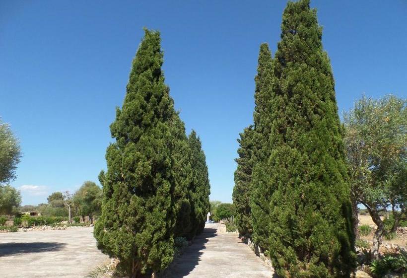 בית מלון כפרי Sa Bassa Crua Agroturismo