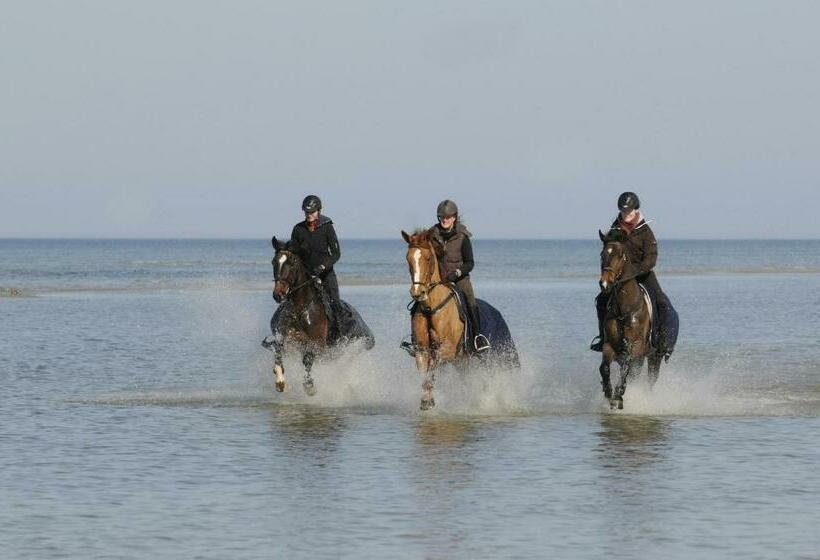 بنسيون Reitanlage Plath