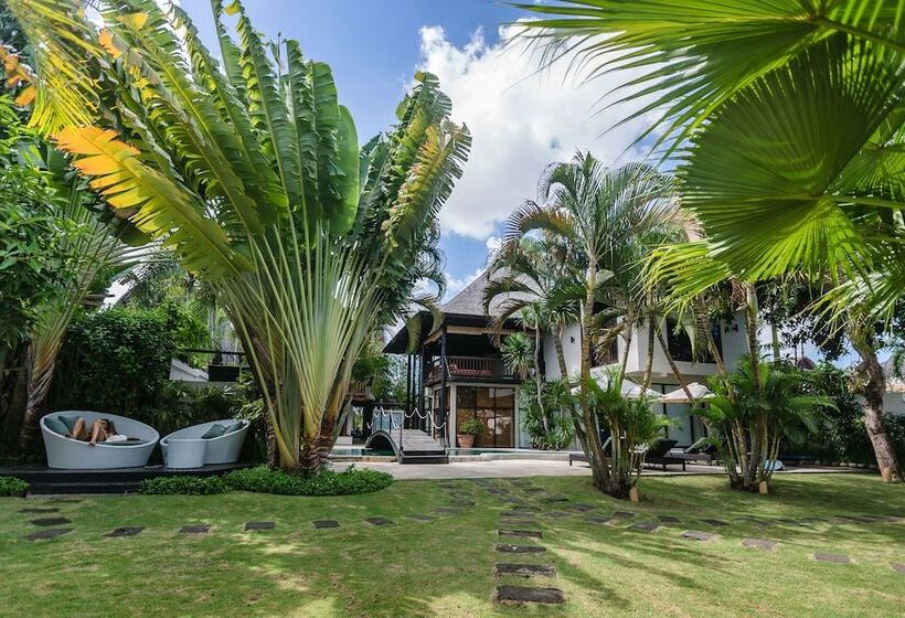 旅馆 Wave House   Surf Camp